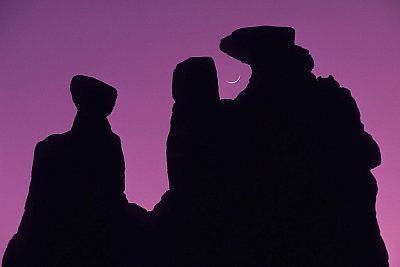 stock-051-1024x683.jpg