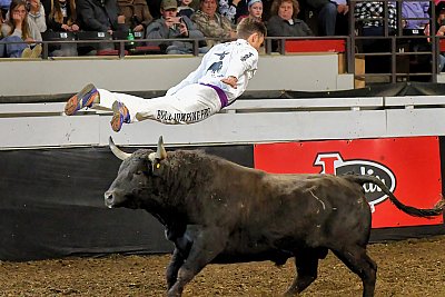 action_By_C_W_Davis_0004.jpg