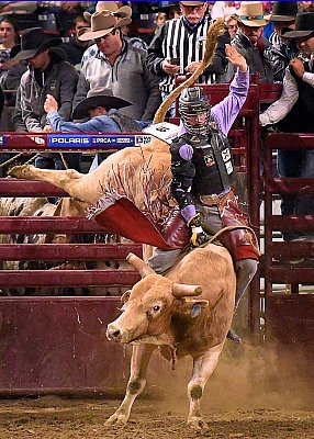action_By_C_W_Davis_0026.jpg