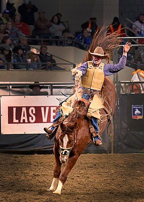 action_By_C_W_Davis_0039.jpg