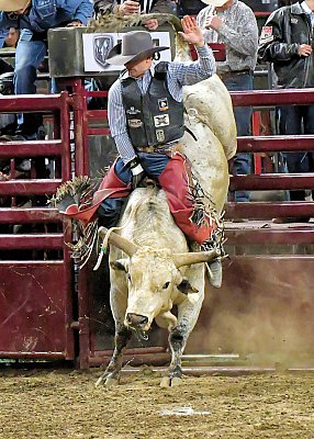action_By_C_W_Davis_0069.jpg
