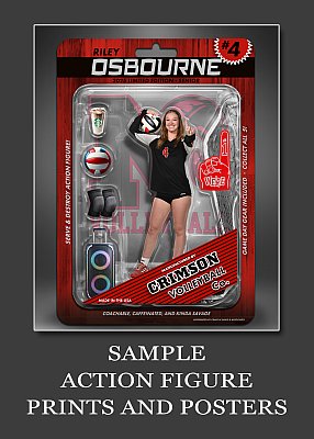 action_figure_poster.jpg