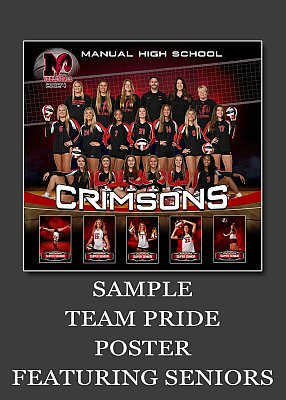 team_pride_poster.jpg